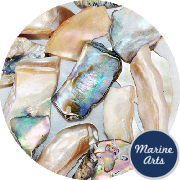 8546/TG-P8 - Craft Pack - Tumbled Golden Abalone - Pebbles
